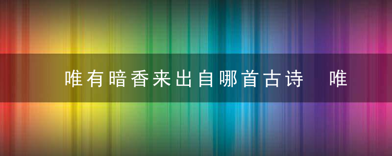 唯有暗香来出自哪首古诗 唯有暗香来出自哪里呢